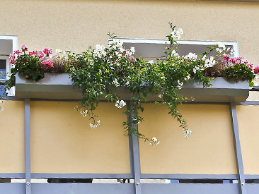 Balkonkasten für die Blumen Ihrer Mieter
